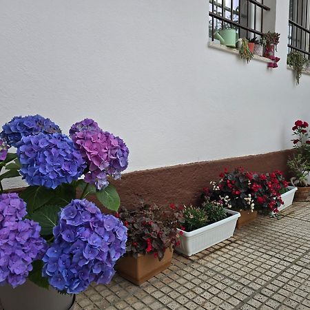 Hotel Aleks Шкодер Экстерьер фото